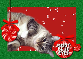 Here is hoping effurryone has a wonderful holiday... Missy Blue Eyes!