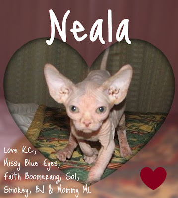 Fight, Neala, fight!