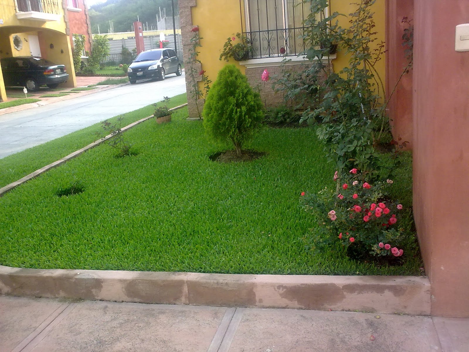 Comunícate Cañadas: Esmero en los jardines