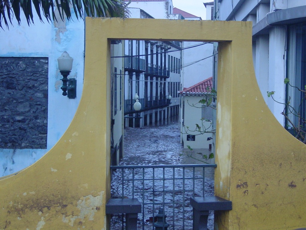 [DSC00372.JPG]
