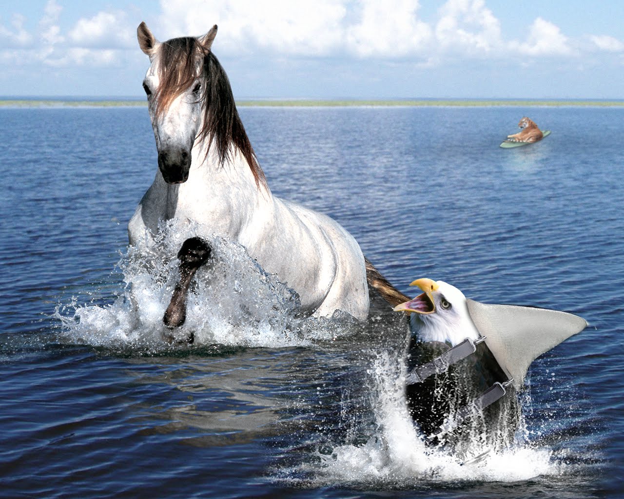 Shark Mixed with Horse