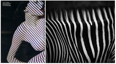 Accostamenti Infiniti accostamenti infiniti, zebra, nudity, stripes