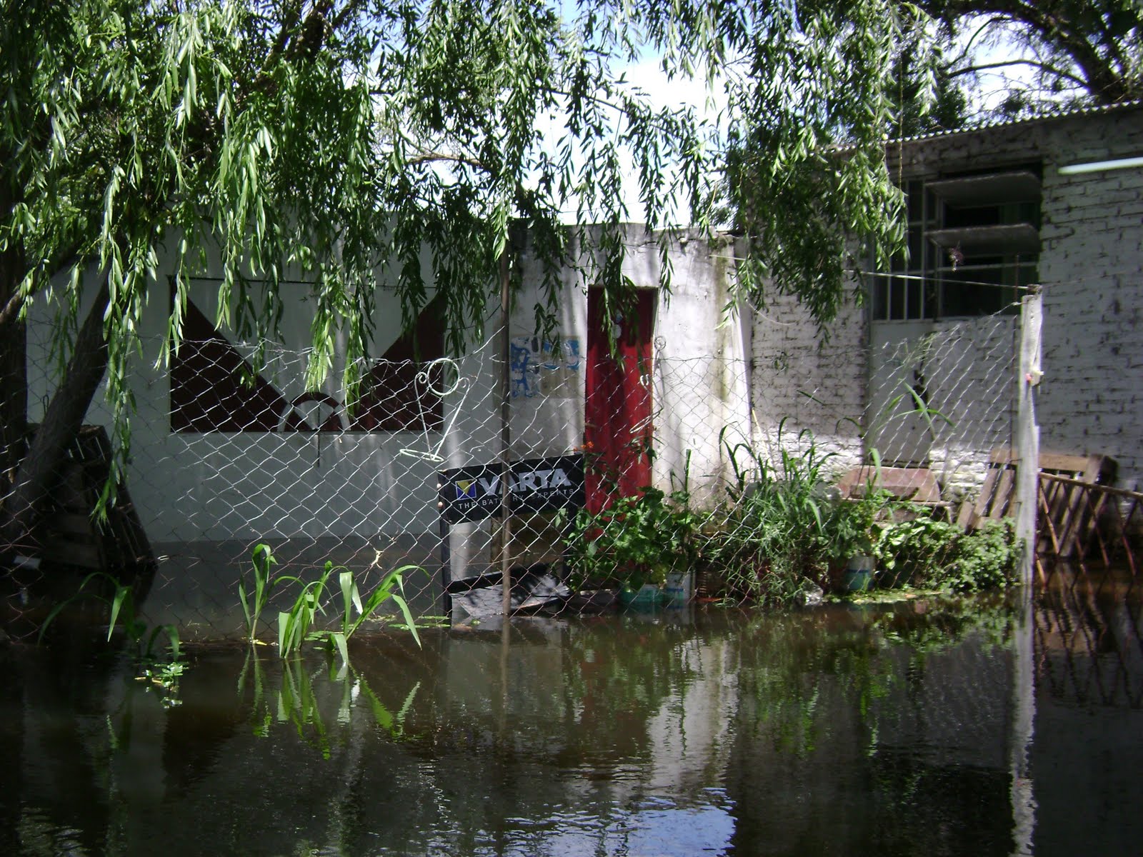 [DSC01729.JPG]