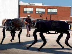robots+search.jpg
