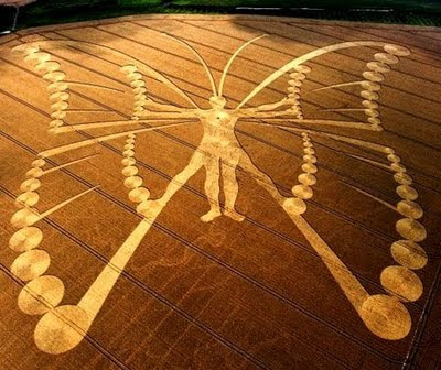 Le plus grand Crop jamais réalisé. Crop+Circle