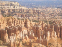 A view over the Bryce Canyon, USA.
