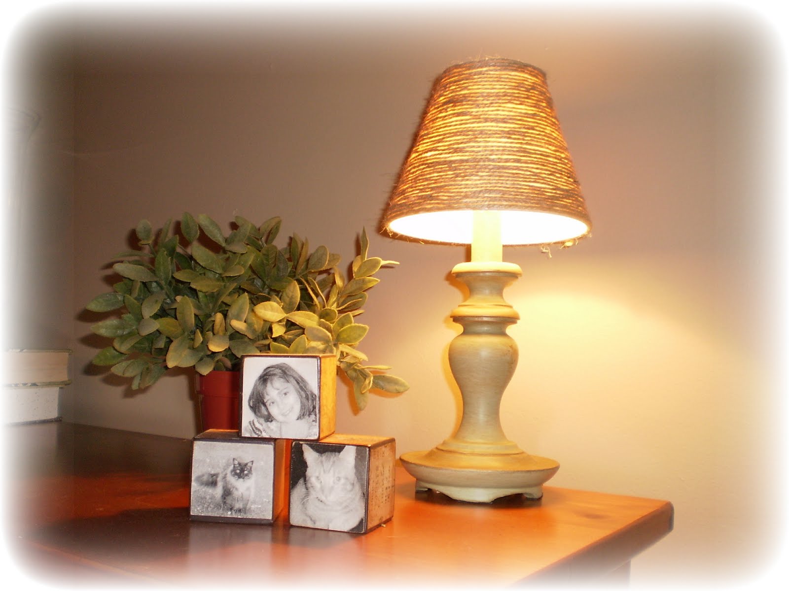 Where Beauty Meets Function No Friday Lamp Shade