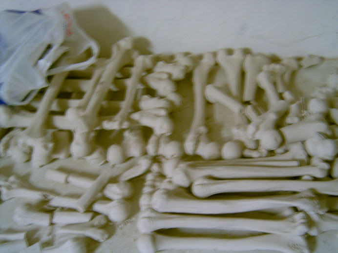 huesos