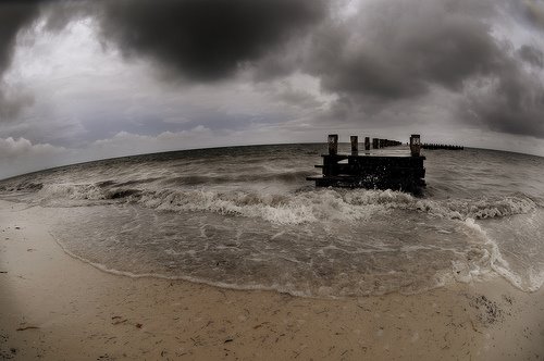 [2687229621_1982cb1e9c.jpg]