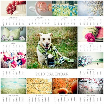 calendar template 2010. free calendar template 2010. calendar template 2010.