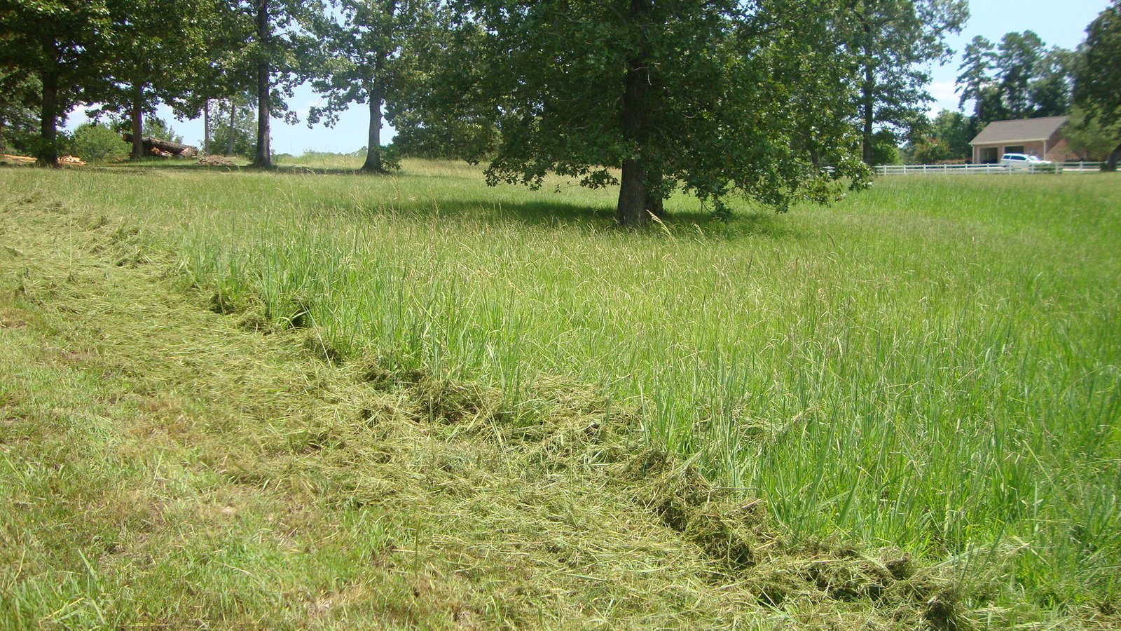 [DSC01481.JPG]
