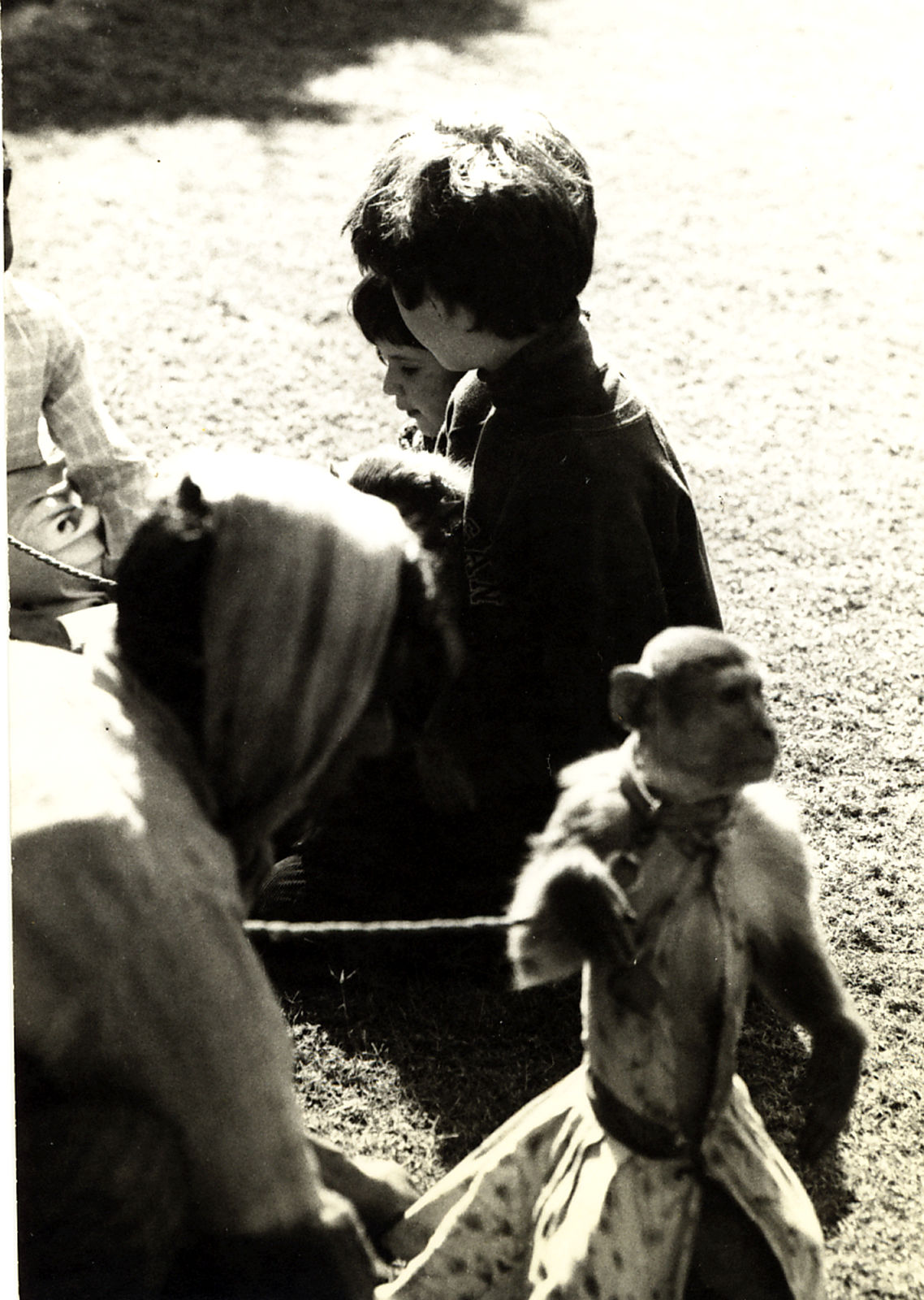 [38.+Kids-with-monkeywallah.gif]