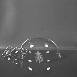 [bubble2.jpg]