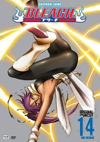 Bleach DVD volume 14