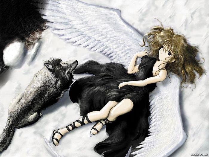 anime wolves. anime wolves. anime wolves.