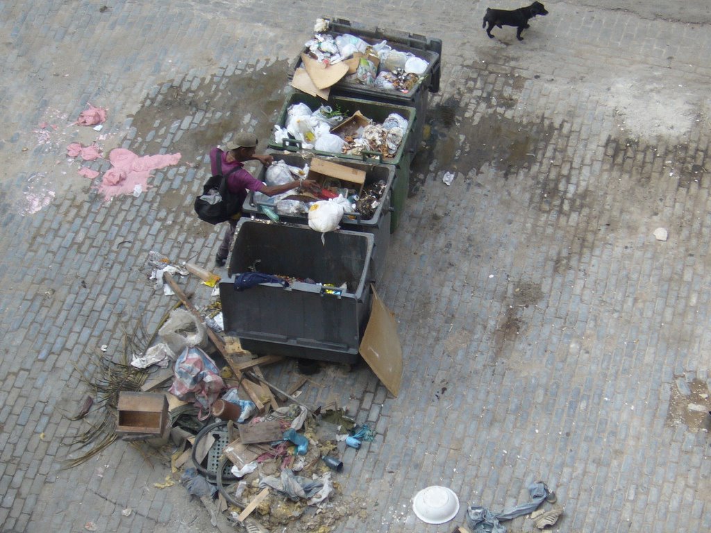 [BuscandoBasura.jpg]