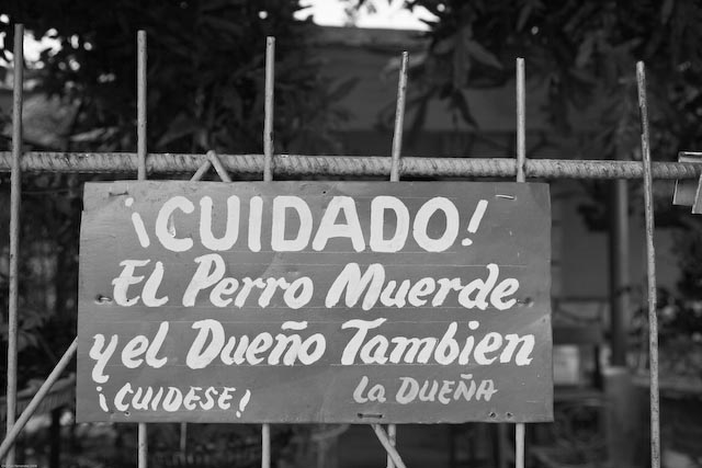 [CuidadoPerroMuerdeDuenoTambien.jpg]
