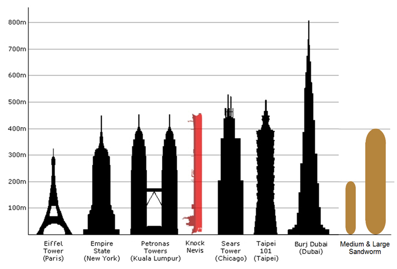 The new Salesforce Tower is the tallest building in San Francisco, but it's  not much taller than the Eiffel Tower