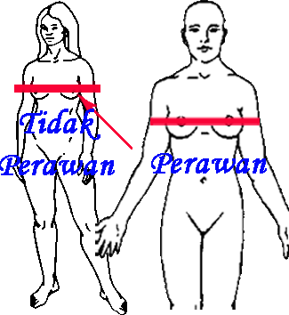 Ciri ciri Gadis Perawan garis keperawanan ala
bung karno Ciri ciri Gadis Perawan