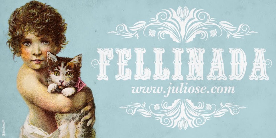 fellinada