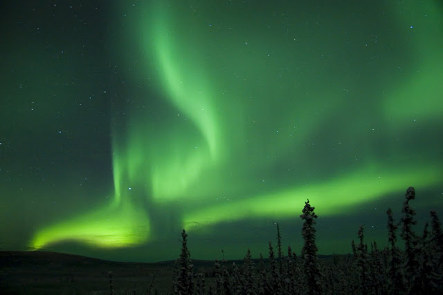 http://4.bp.blogspot.com/_2e9y75mHoZ0/R1DSsf9oGGI/AAAAAAAAADs/S8Xub7dWeEM/s1600-R/aurora%2Bwith%2Btrees.jpg