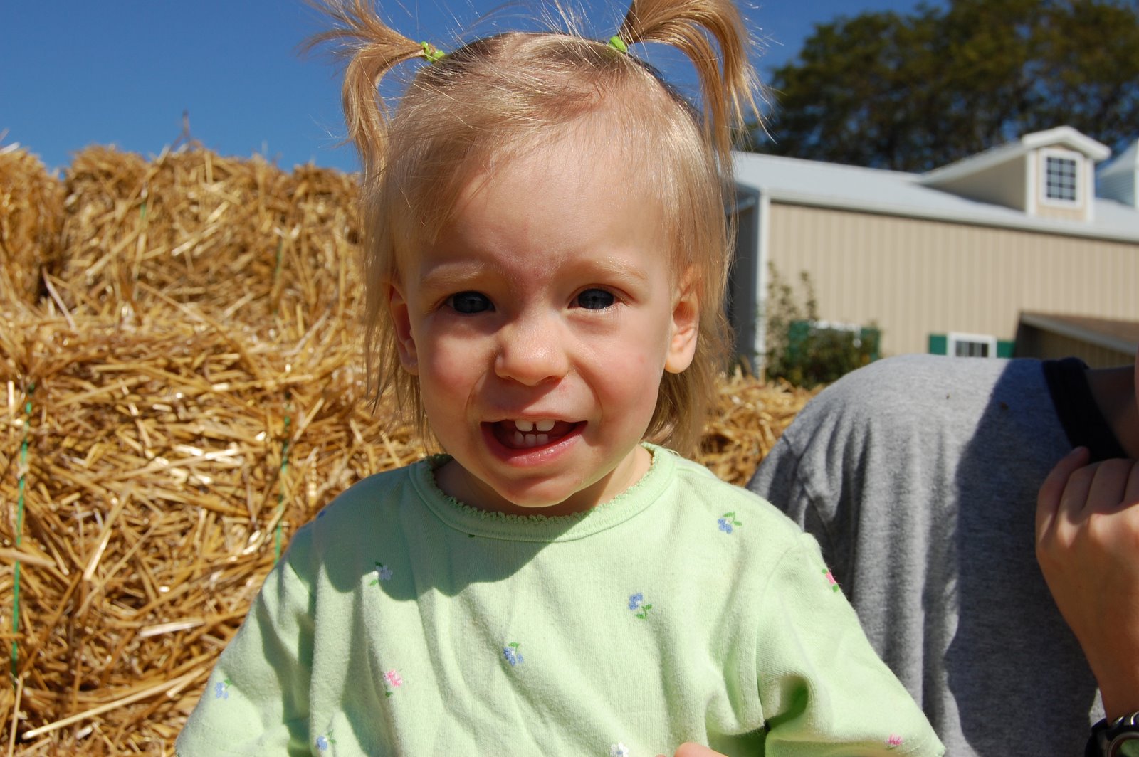 [pumpkin+patch+087.JPG]