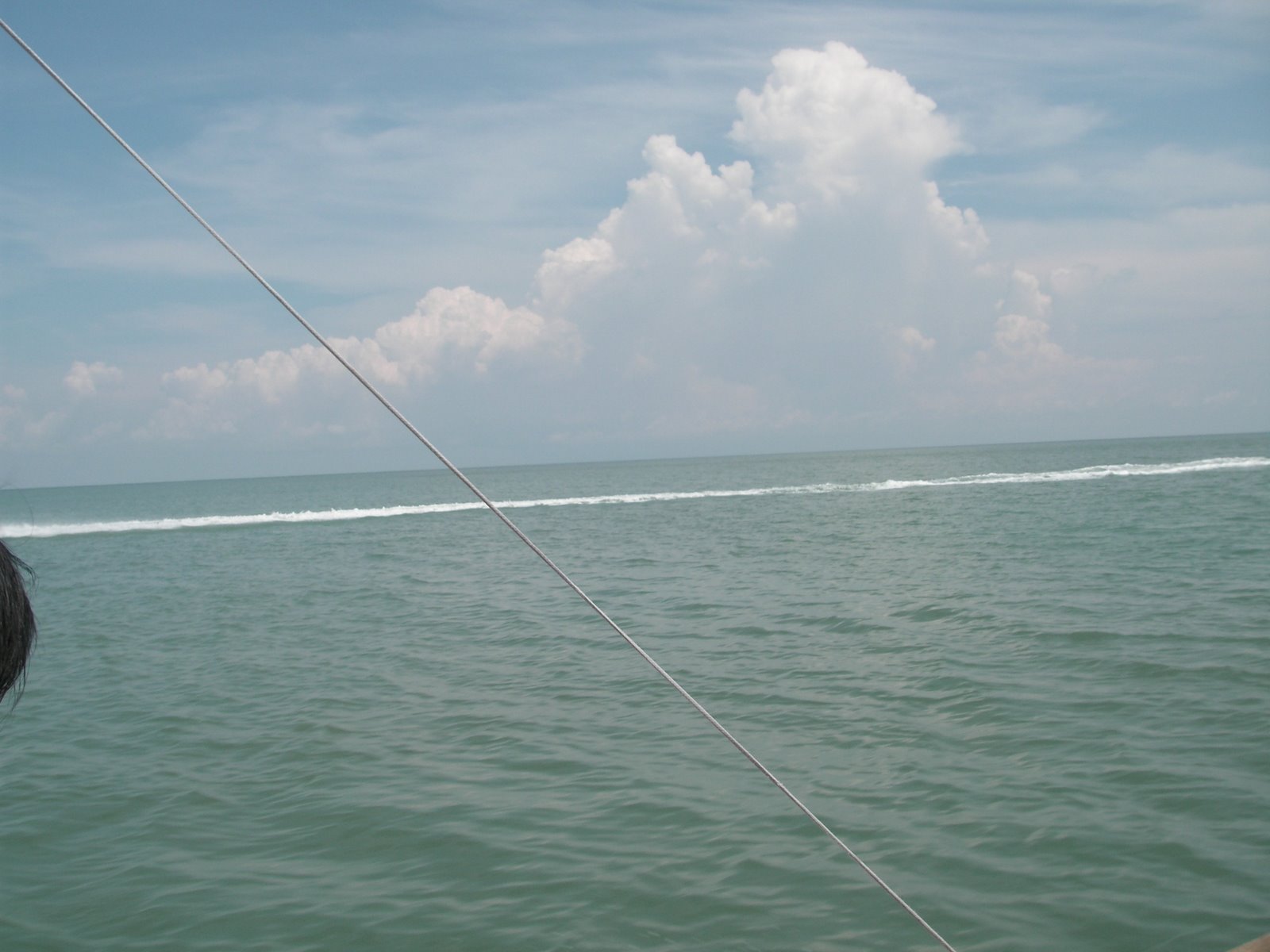 [PICT2127.JPG]