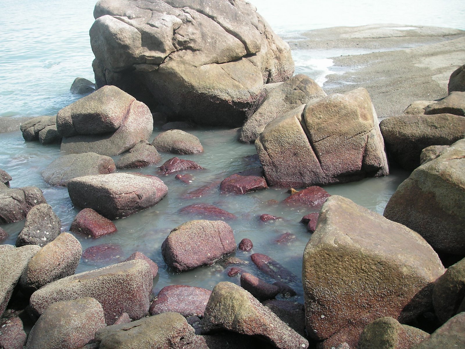 [PICT2095.JPG]