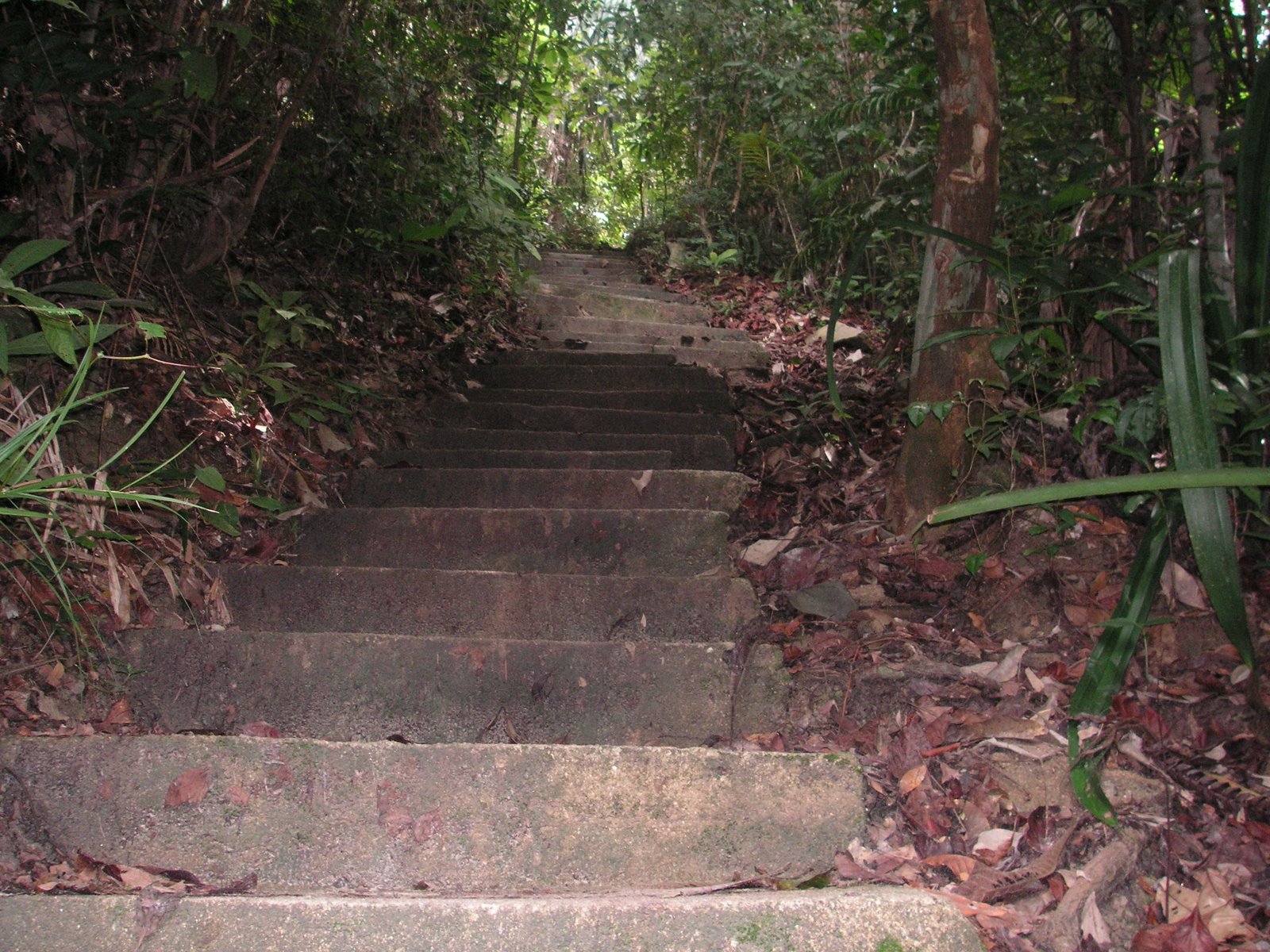 [PICT3537.JPG]