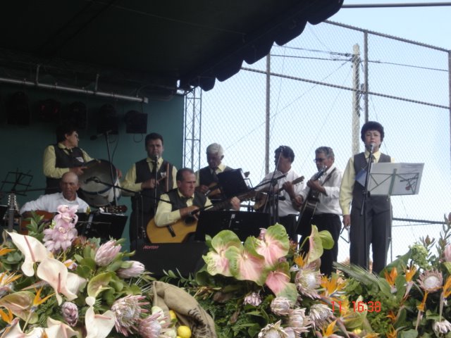 [DSC09147.JPG]