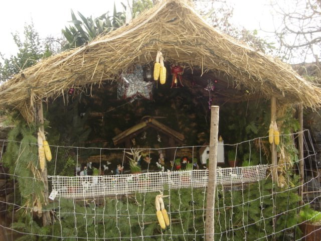 [DSC01479.JPG]