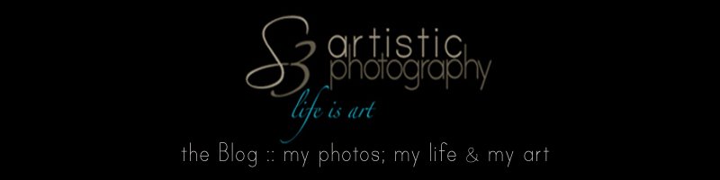S3 Artistic Photography Blog Sarah Martin Greenville Michigan Natural Light Photographer