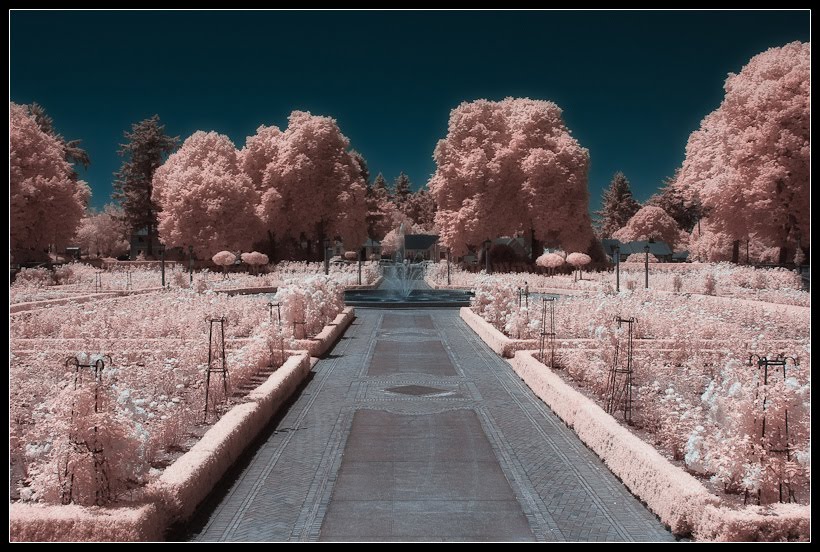 Damn Fresh Pics Excellent Examples Of Infrared Photography