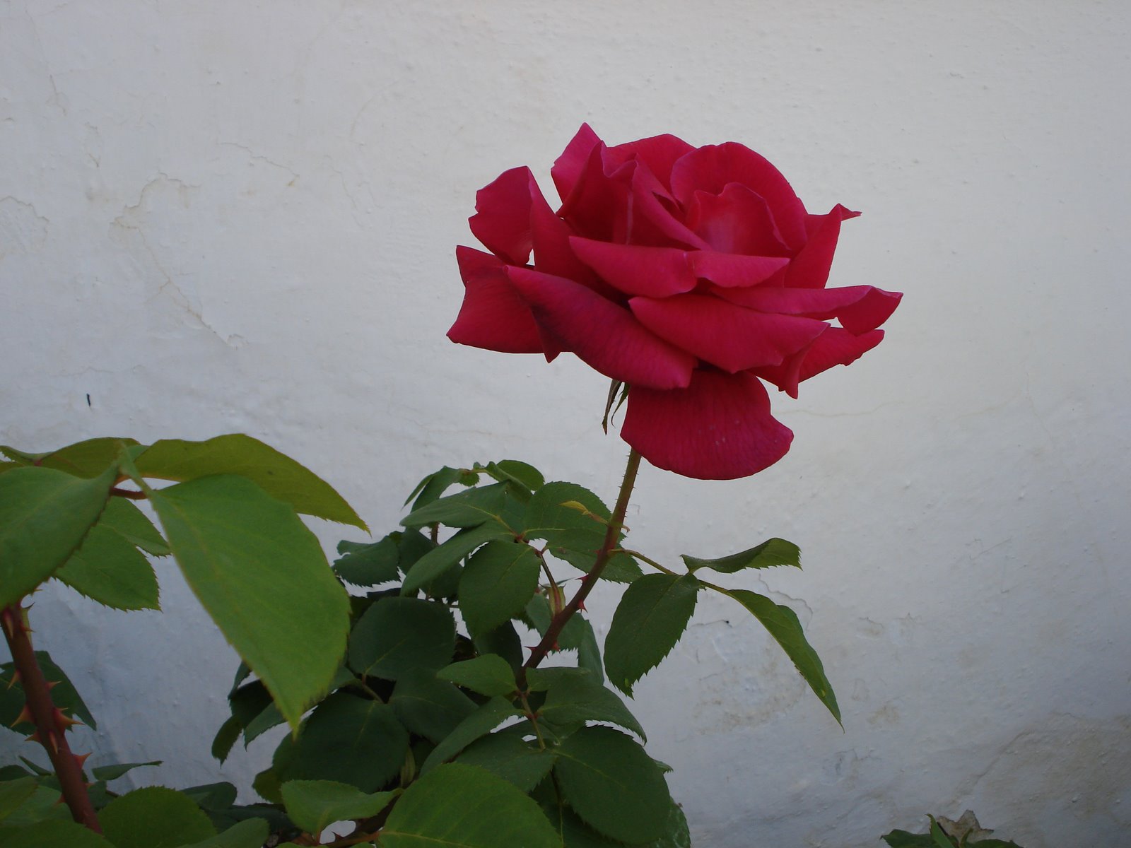 [DSC04707.JPG]