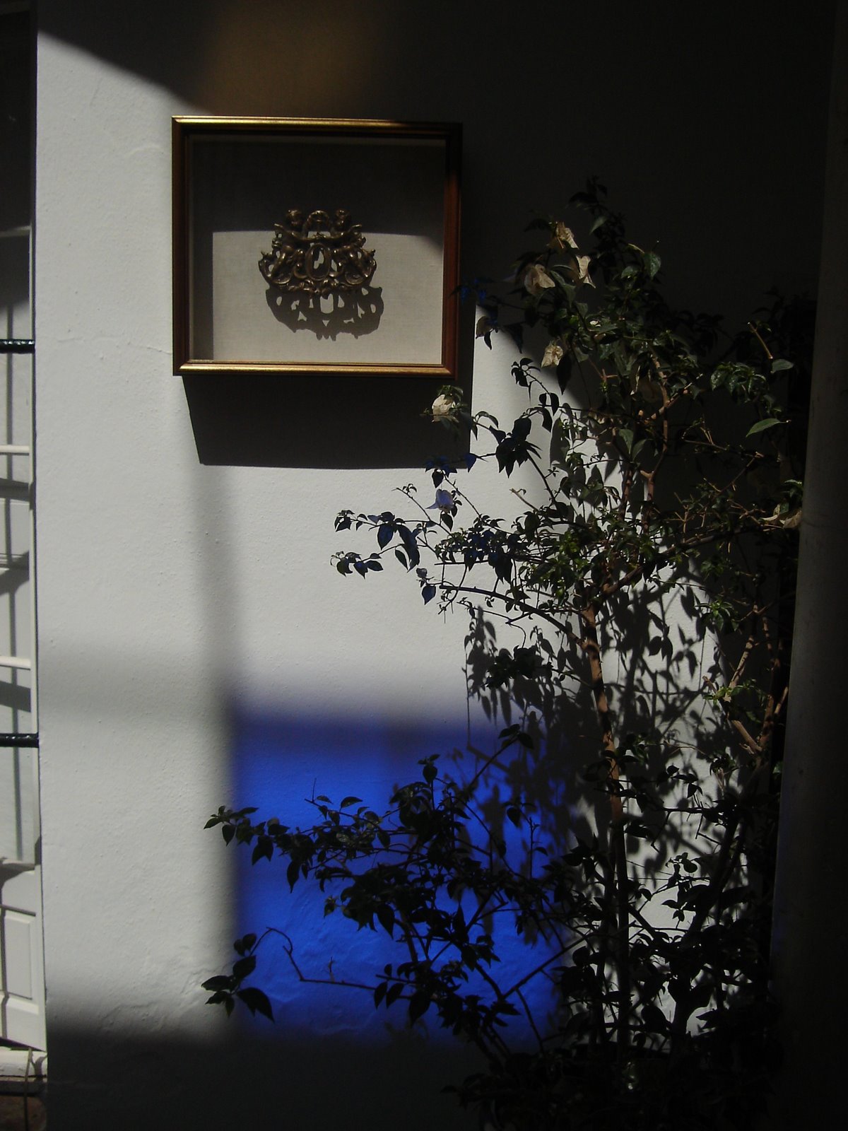 [DSC00458.JPG]