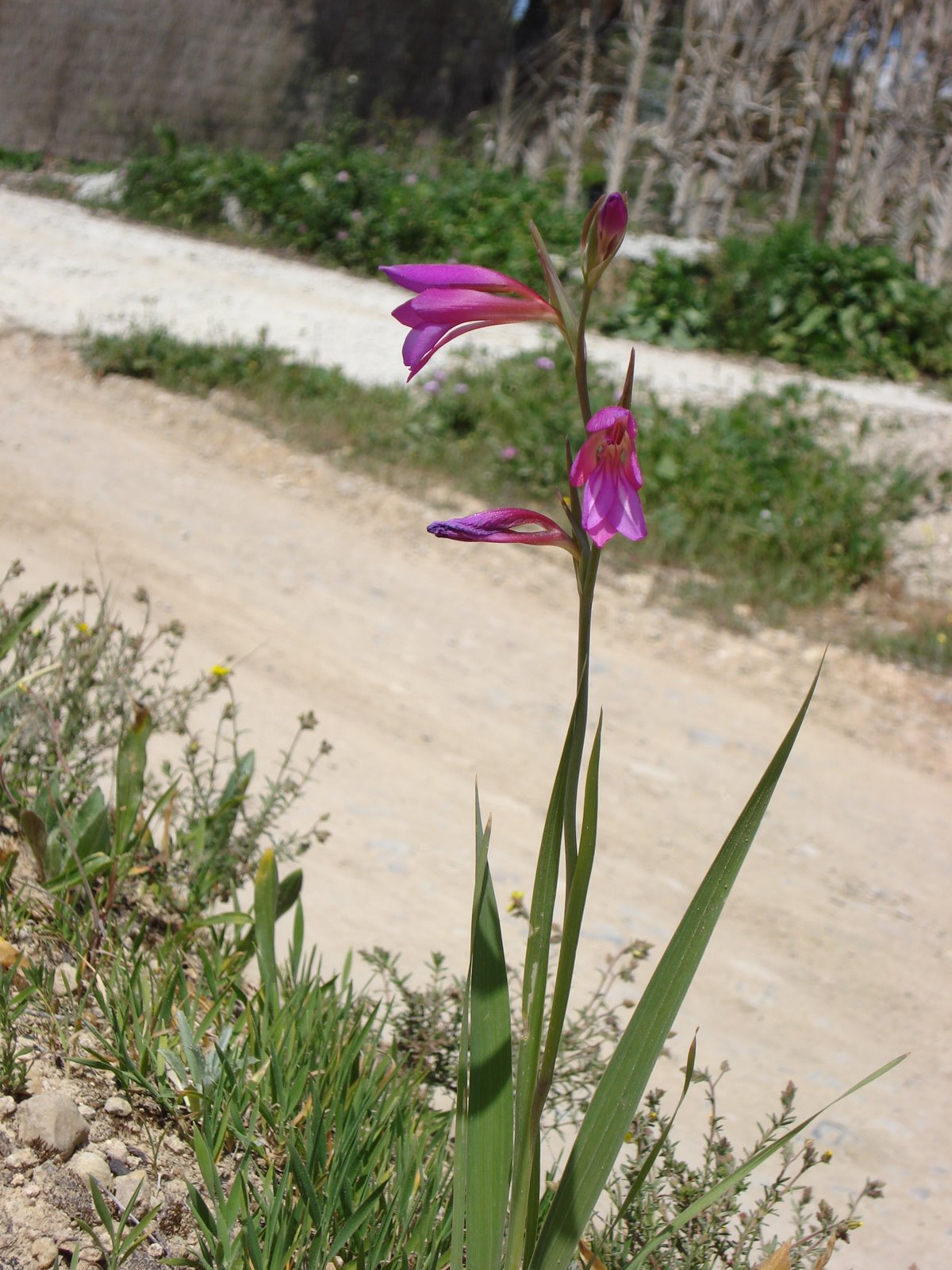 [DSC04304.JPG]