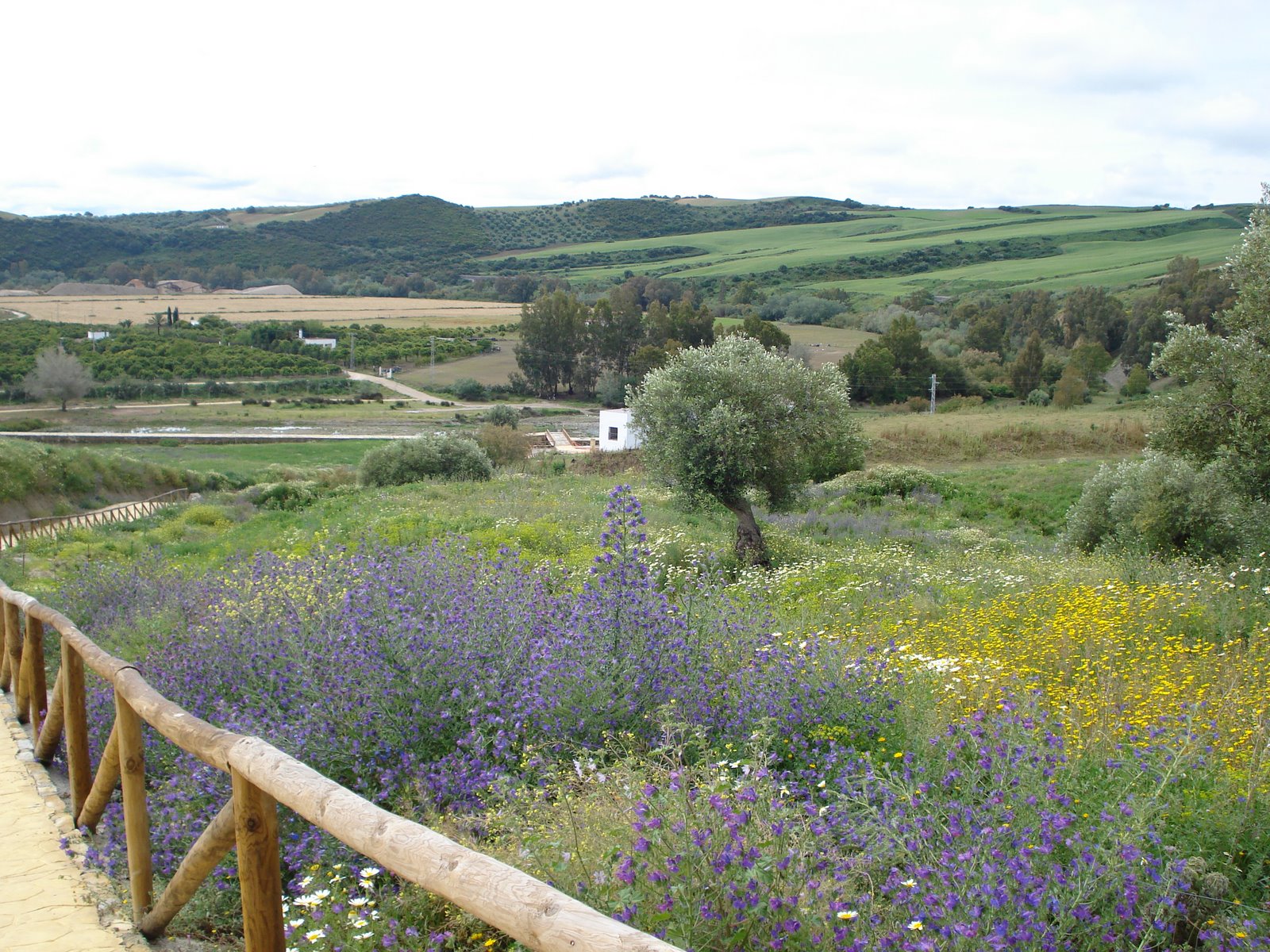 [DSC04618.JPG]