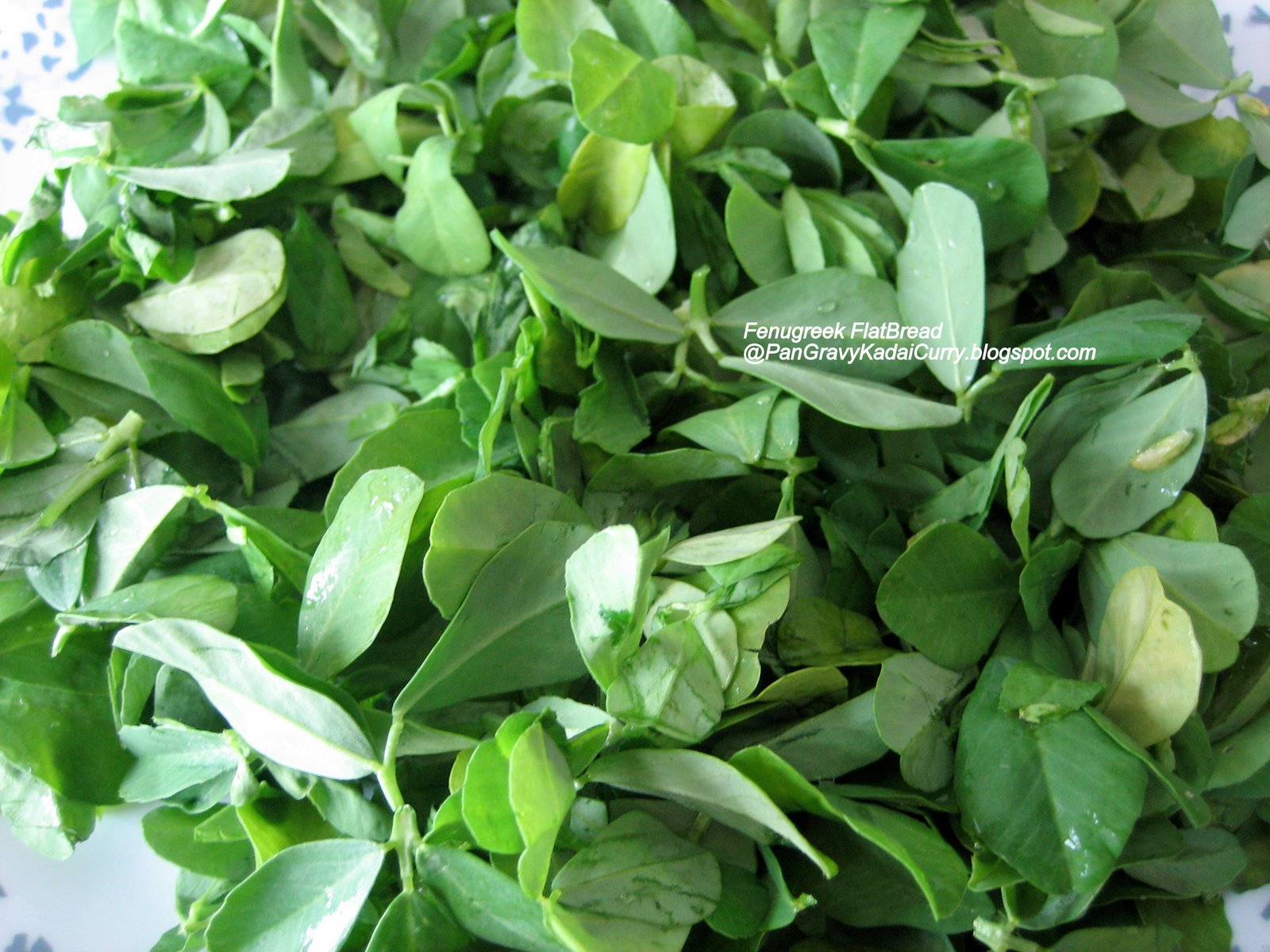 Pictures Of Fenugreek