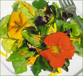 Flores comestibles