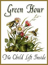 The Green Hour Challenge