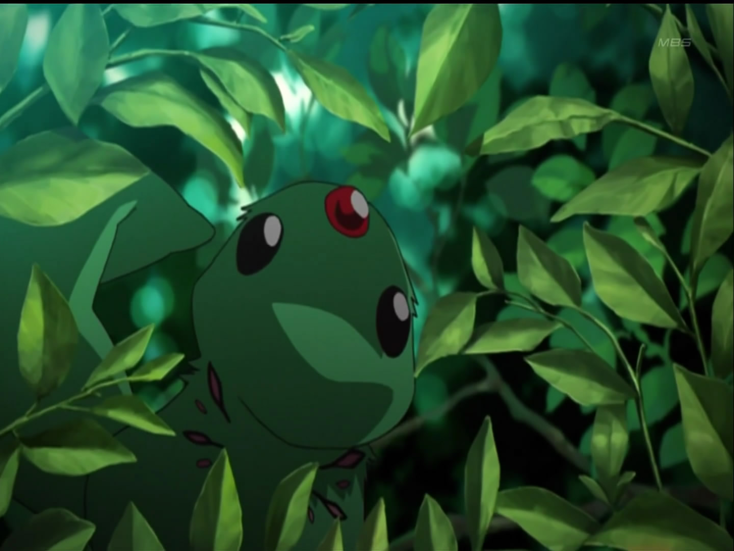 [mf+ai+kun+the+bug+squirrel.jpg]