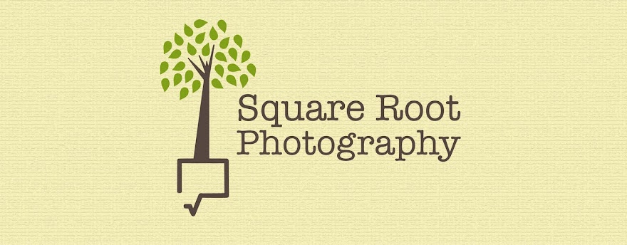 Square Root Photography