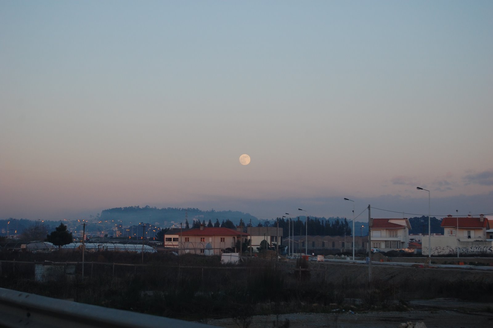 [DSC_0043.JPG]