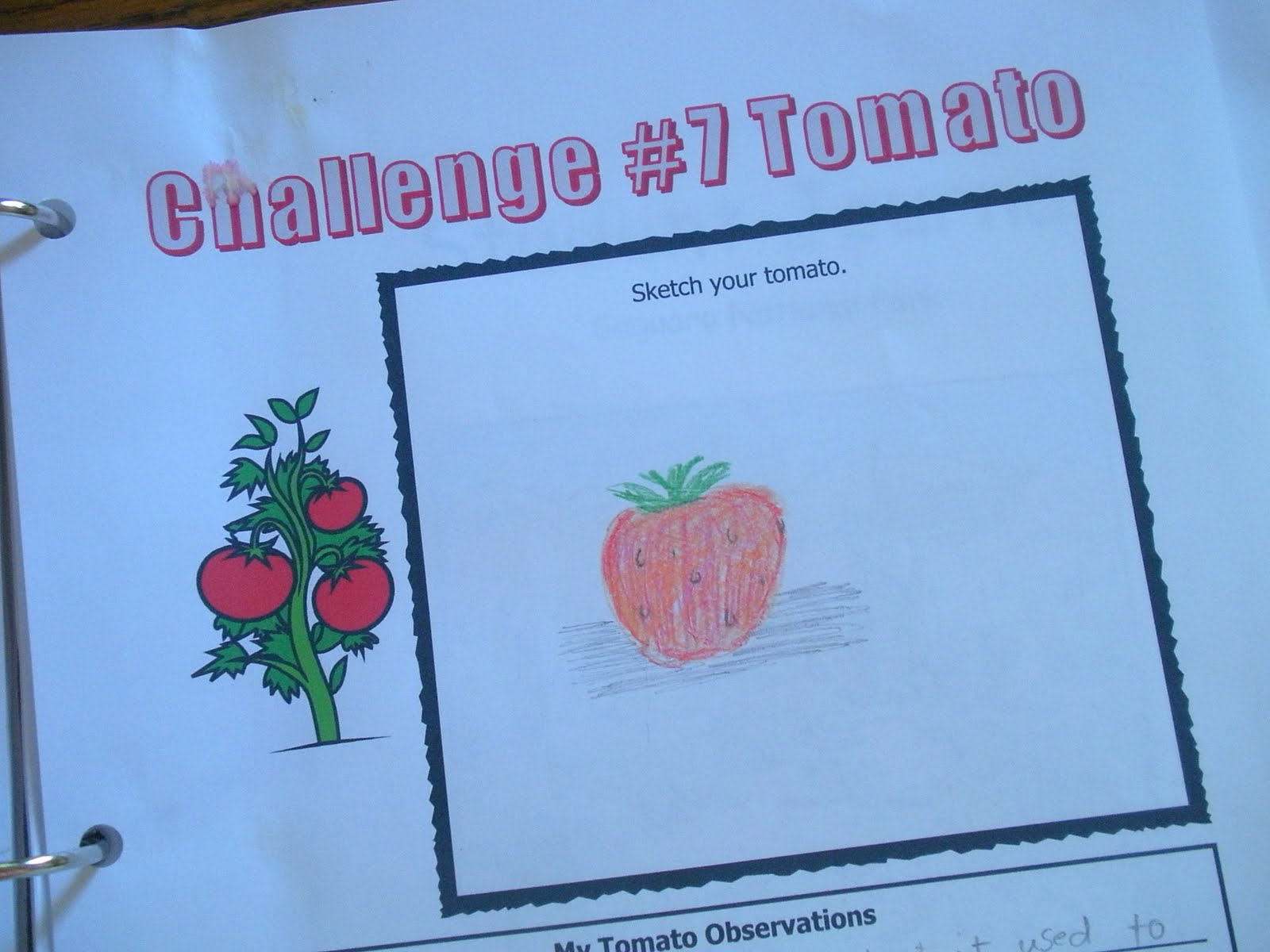 [tomato+journal+page.jpg]