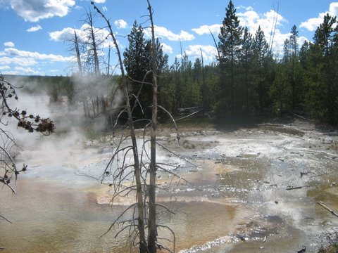 [IMG_3126.JPG]