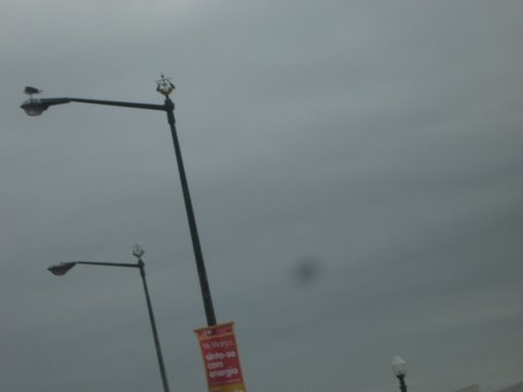 [IMG_1831.JPG]