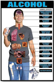 Pengaruh Alkohol Terhadap Organ Tubuh Pengaruh Alkohol Terhadap Organ Tubuh
