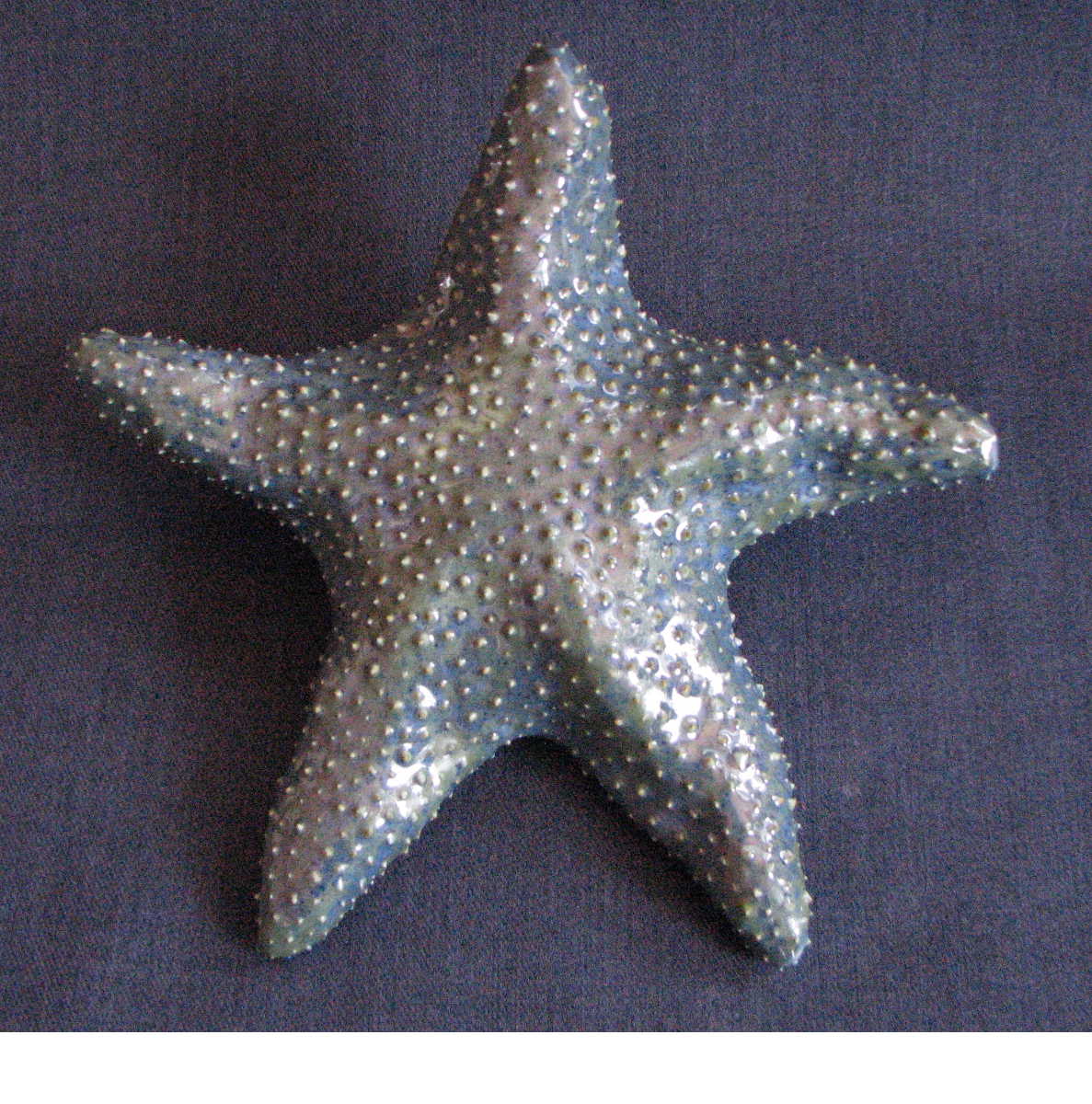 [starfish.Patrick.35.JPG]