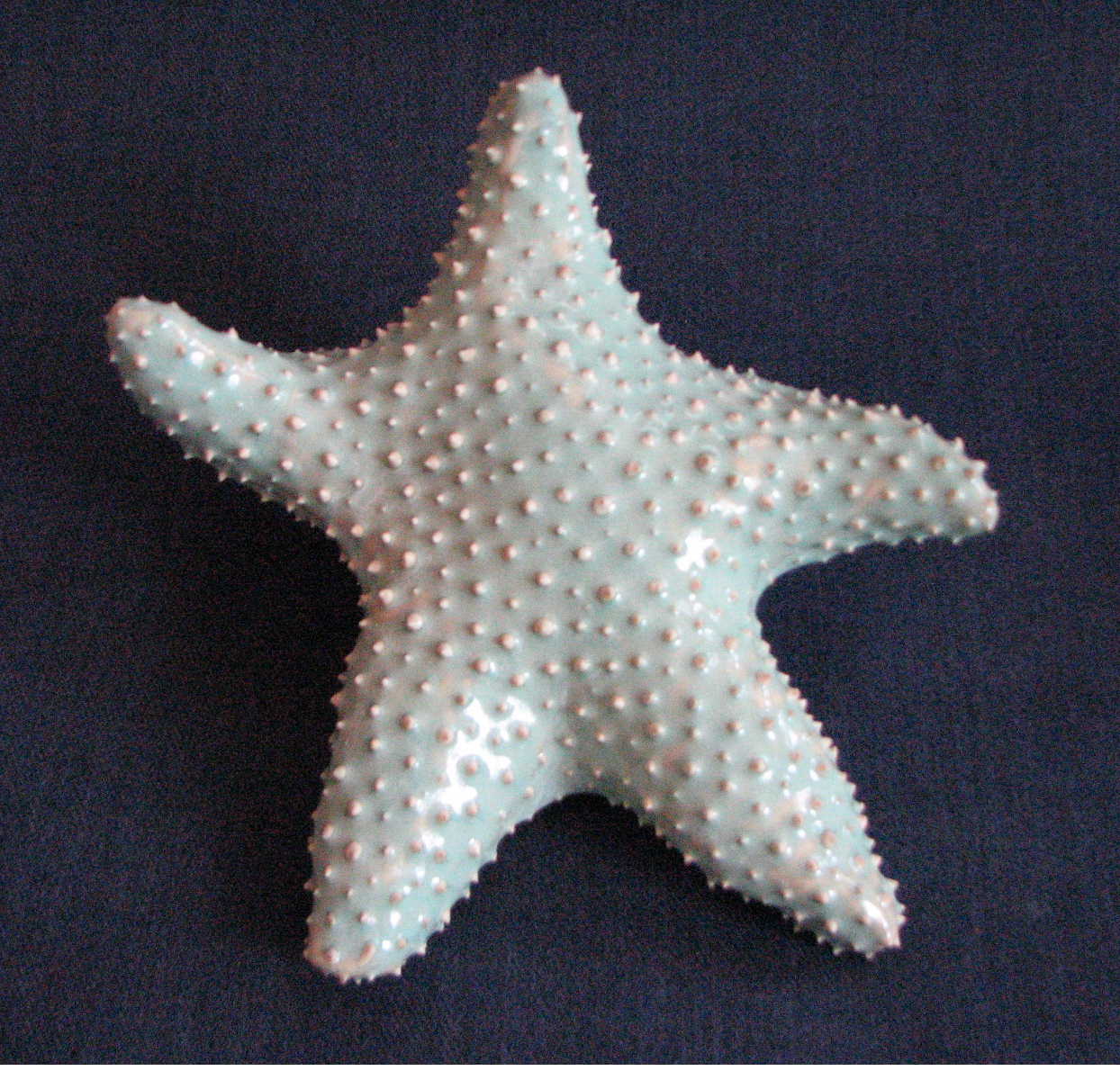[starfish.Cindy.30.JPG]