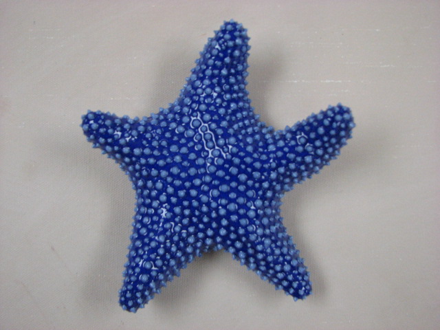 [starfish.troy.JPG]
